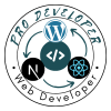 pro_developer25