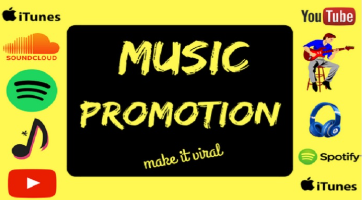 I will do organic soundcloud, spotify, bandlab, applemusic promotion 