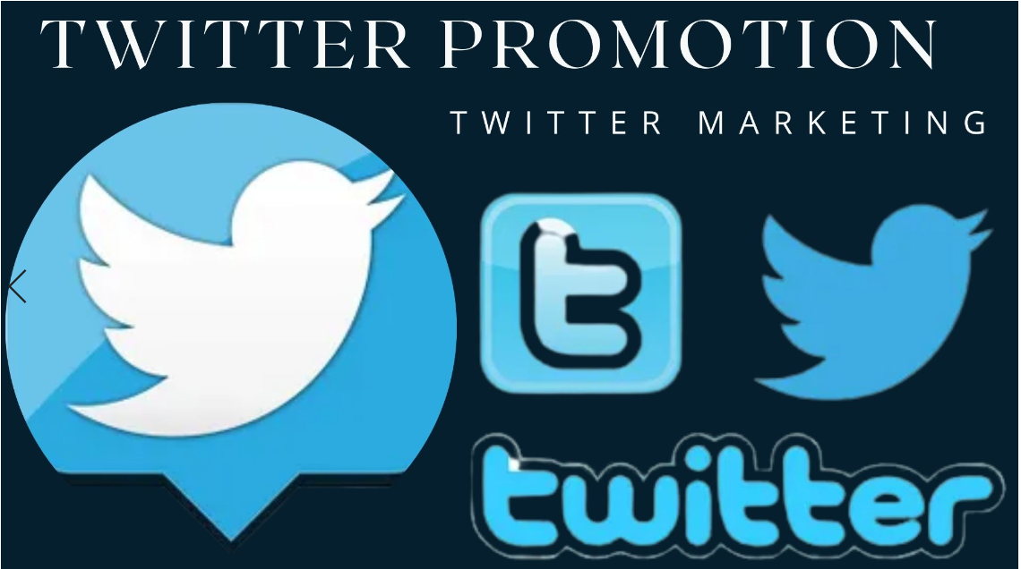 I will do twitter marketing for growth and gain real followers