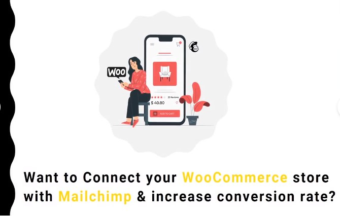 I will do mailchimp automation campaigns for wordpress blog or shop