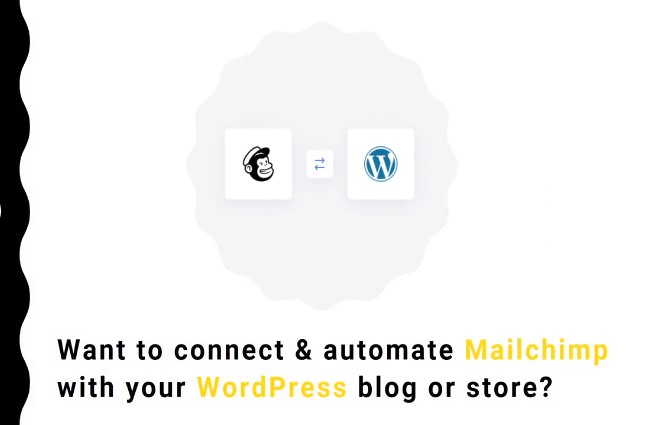 I will do mailchimp automation campaigns for wordpress blog or shop