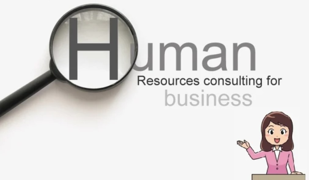 I will provide professional HR consultancy