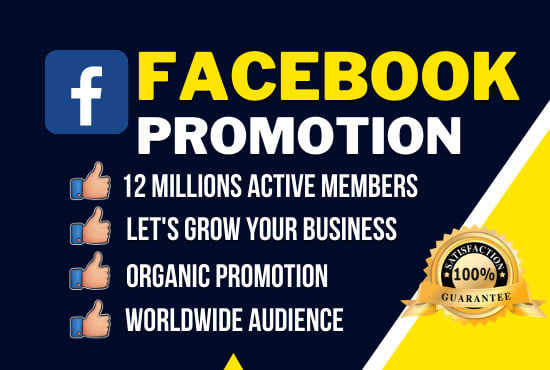 I will help you increase your facebook page followers without drop