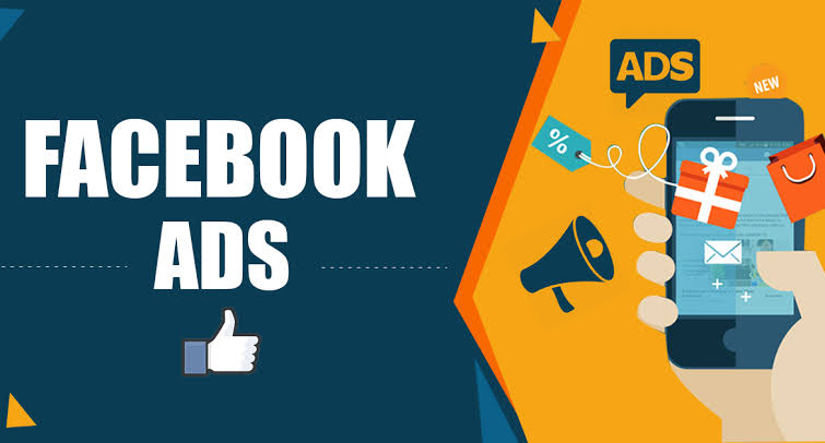 I will setup facebook and instagram ads for leads and sales