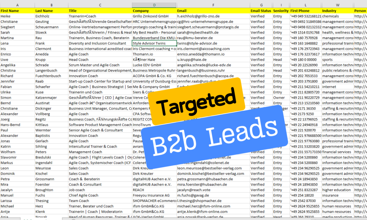 I will be best apollo io export email leads scraping and targeted b2b lead generation