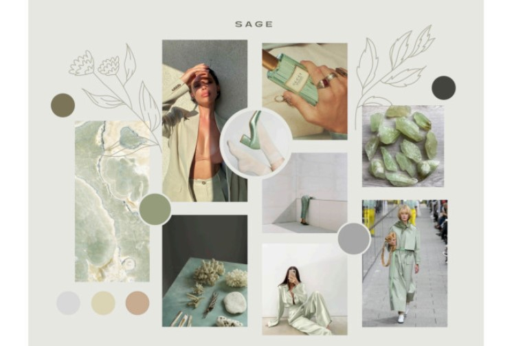 I will curate a colour palette mood board for your brand