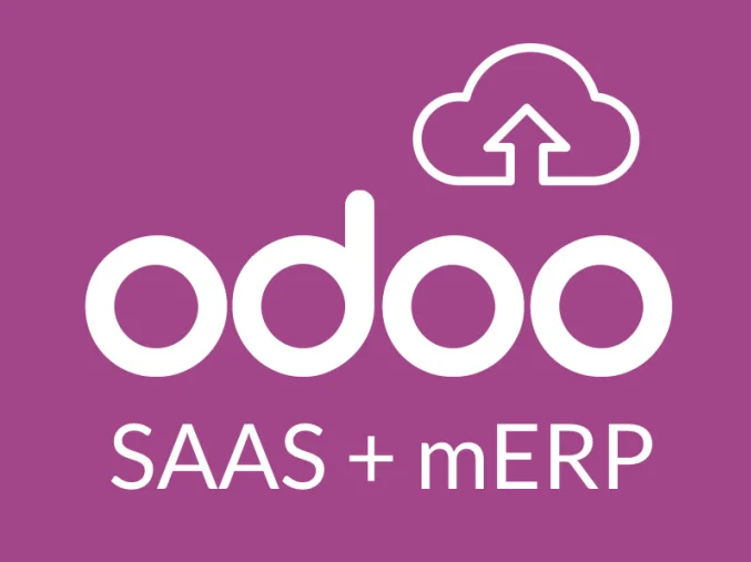 I will setup odoo v15, v14, v13, v12 on saas v2 for you to sell odoo service