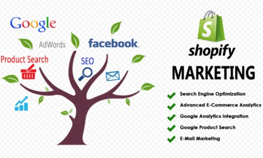 I will promote shopify store, shopify marketing sales funnel, klaviyo email marketing