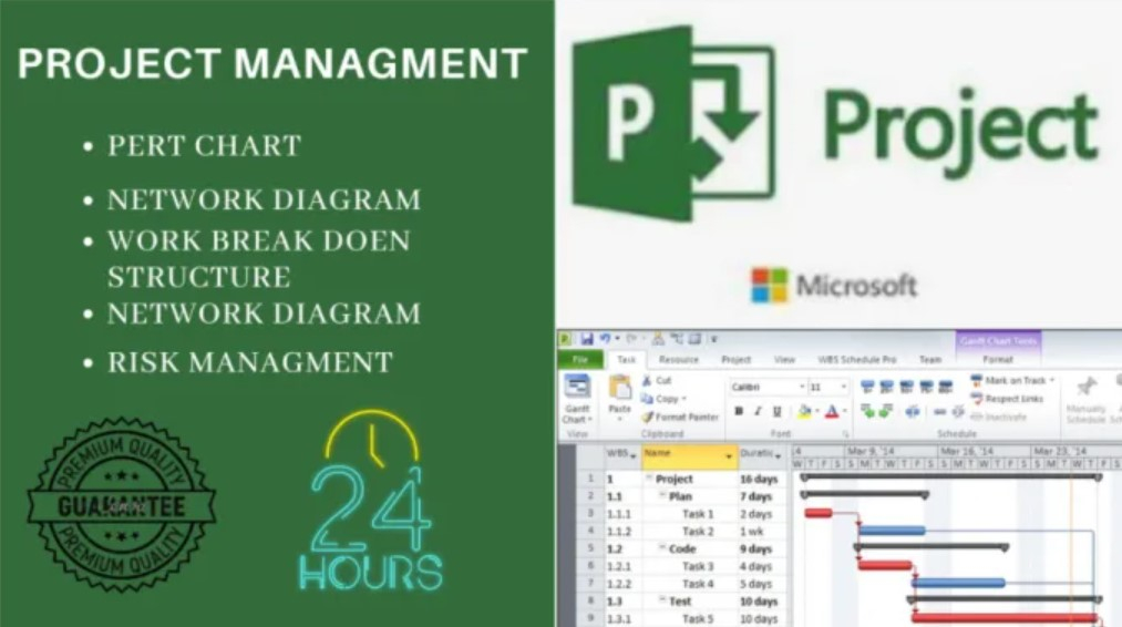 I will make gantt chart wbs structure network diagrams in ms project