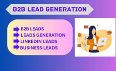 I will do targeted b2b, linkedin leads, lead generation and email list building