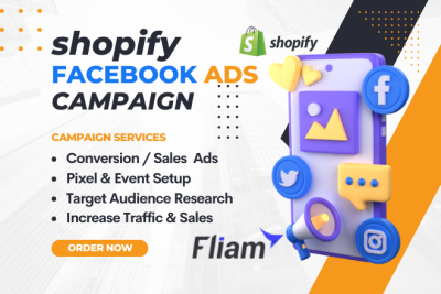 I will skyrocket your facebook ad campaign