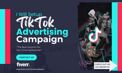 I will promote your business using TikTok ads campaign 
