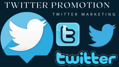 I will do twitter marketing for growth and gain real followers