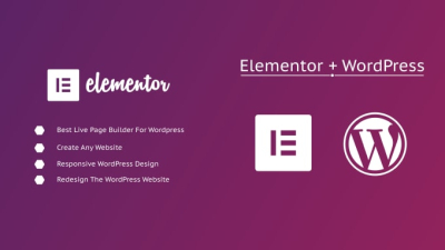 I will create WordPress Website with Elementor