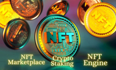 I will create crypto block chain nft business plan