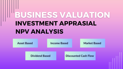 I will make business valuation report for your startup business