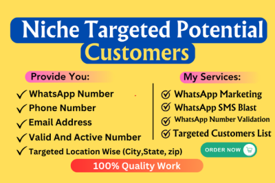 Collect niche targeted potential customers Whatsapp number and phone number