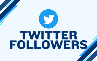 100+ TWITTER FOLLOWERS NON DROP AND HIGH QUALITY PROMOTION WITH INSTANT START