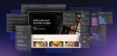  I will design and build a professional website on Webflow
