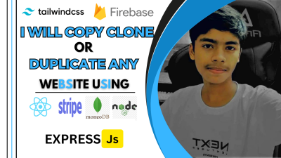 I will copy, clone or duplicate any website using react js