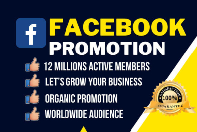 I will grow your facebook post likes without drop