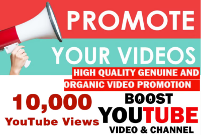 I will provide Youtube ADS Views | Global | Non Drop | Real Views | 20K-80K/Day |