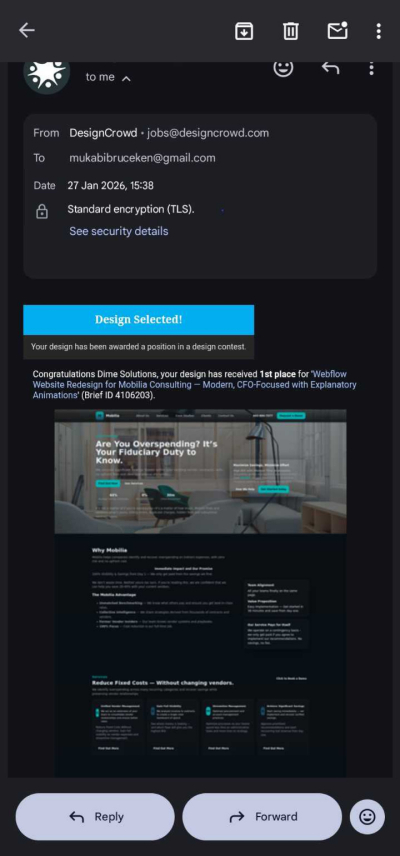 I design professional websites and landing pages for your business needs.