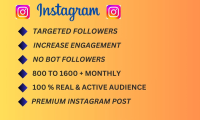 I will Instagram Promotion For Super Fast Organic Instagram Growth and Increase Followers