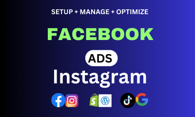 I will setup and manage shopify facebook ads and instagram ads campaign