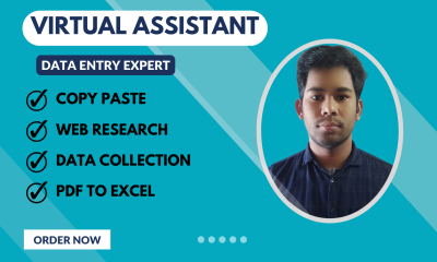 I will be your expert virtual assistant for data entry and web research tasks