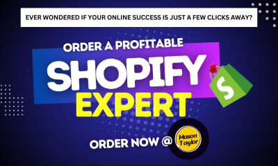 I will build you an automated dropshipping shopify store shopify website