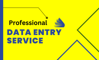I will provide monthly data entry services