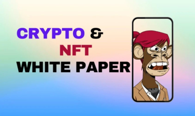 I will create a whitepaper for your ico, crypto or nft project