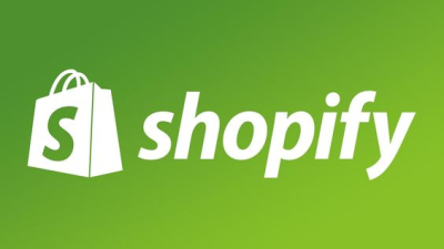 I will build shopify store or dropshipping ecommerce store, shopify website