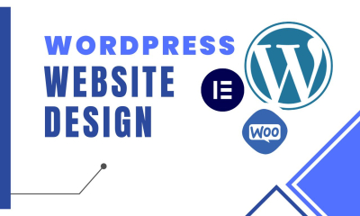 I will do WordPress website design and website development