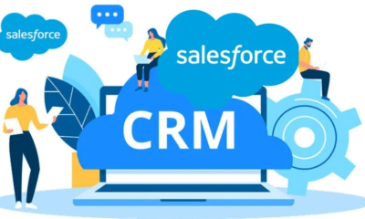 I will do salesforce CRM data entry correctly assistant for your company