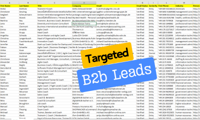 I will be best apollo io export email leads scraping and targeted b2b lead generation