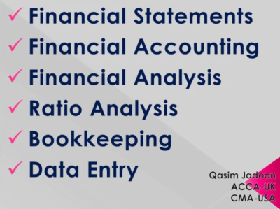 I will do accounting and finance related tasks and projects