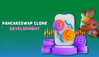 I will develop  PancakeSwap/UniSwap Clone on your Own EVM Blockchain