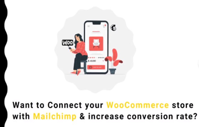 I will do mailchimp automation campaigns for wordpress blog or shop