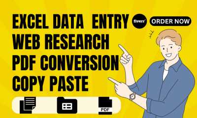 I will do excel data entry, copy paste, web research, pdf conversion