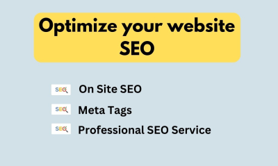 On-page and off-page full seo optimization website 