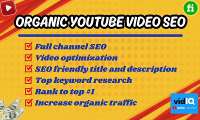 I will do the top YouTube video SEO for organic ranking