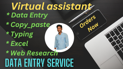 I will do data entry, excel, copy paste, typing and web research 