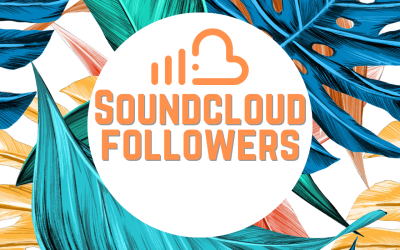 Grow 1000+ Soundcloud followers to rocket SEO