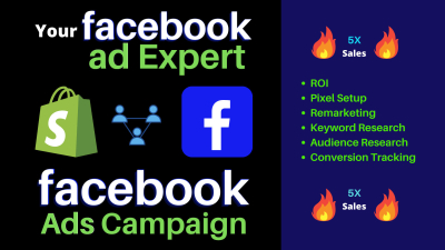 I will set up a facebook ads campaign to grow page likes