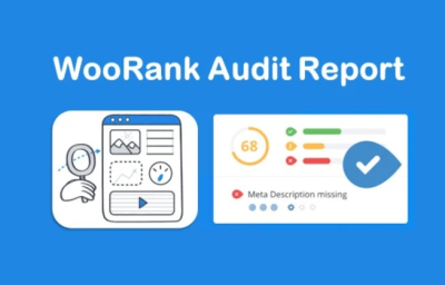 I will provide quick woorank website audit report reviews
