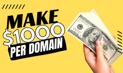 I will send you premium domains to sell for passive income