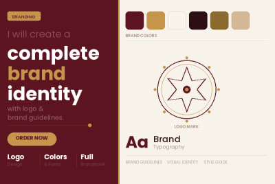 I will create a complete brand identity with logo and brand guidelines