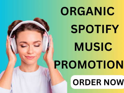 i will create and run music ads to promote your spotify music